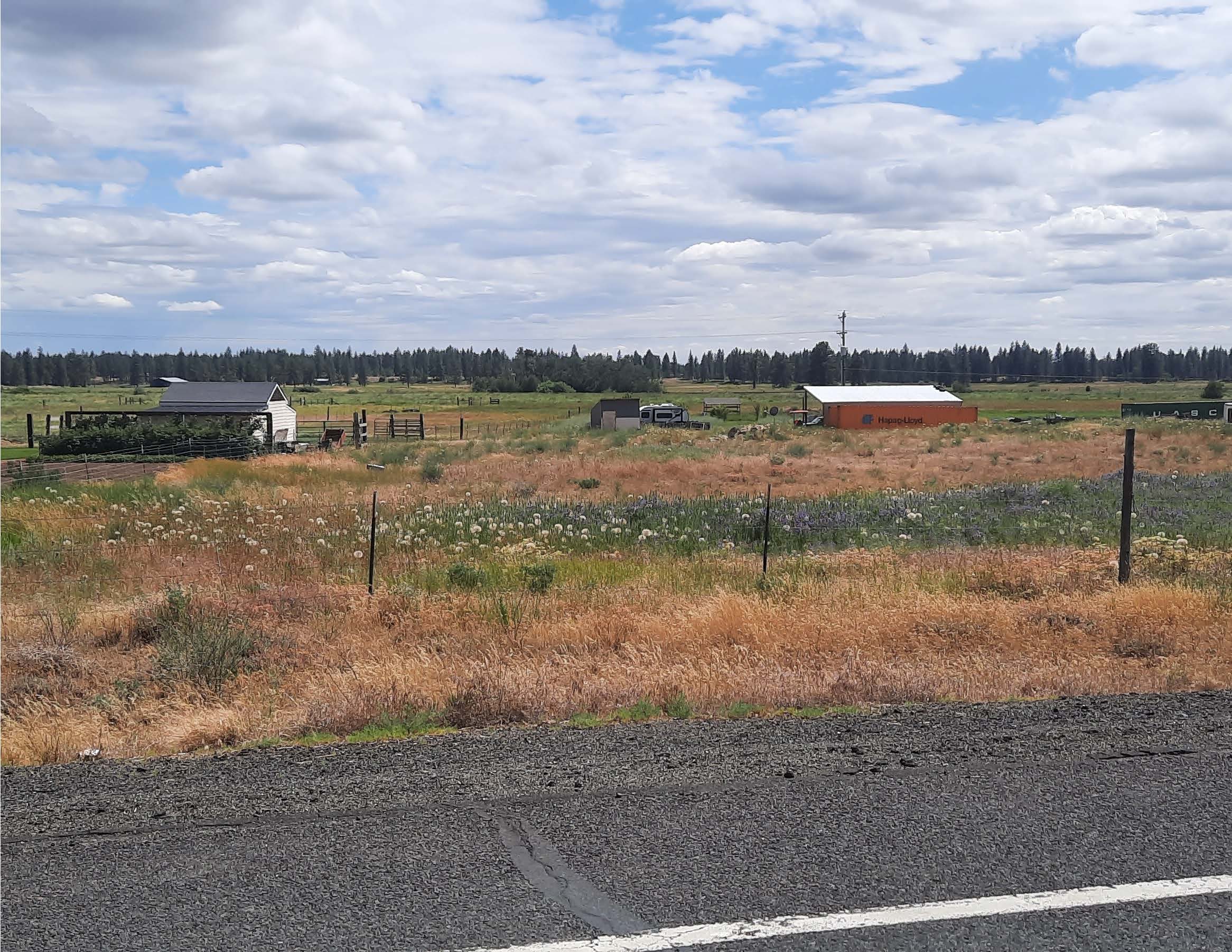 View from road