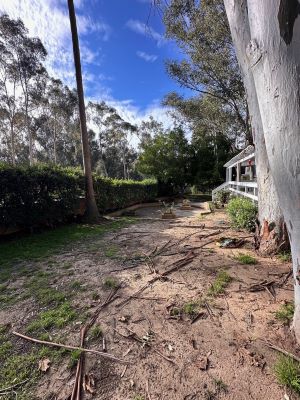 Backyard View