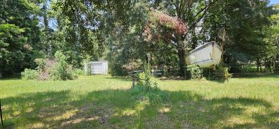 Back yard