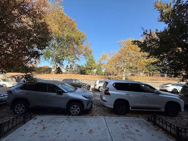 The view from street level out to the park from in front of the building