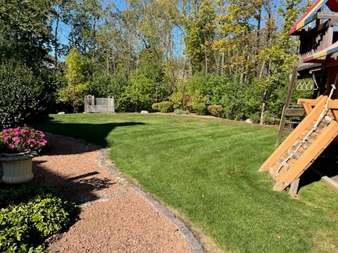 View of Back Yard Space