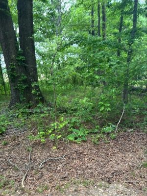 1.8 acre wooded, residential parcel of land more commonly known as 6323 Helms Belk Rd., Monroe, NC 28110