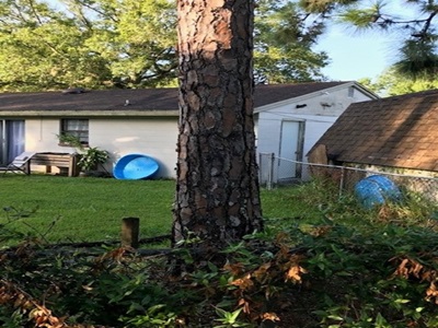 Back yard view