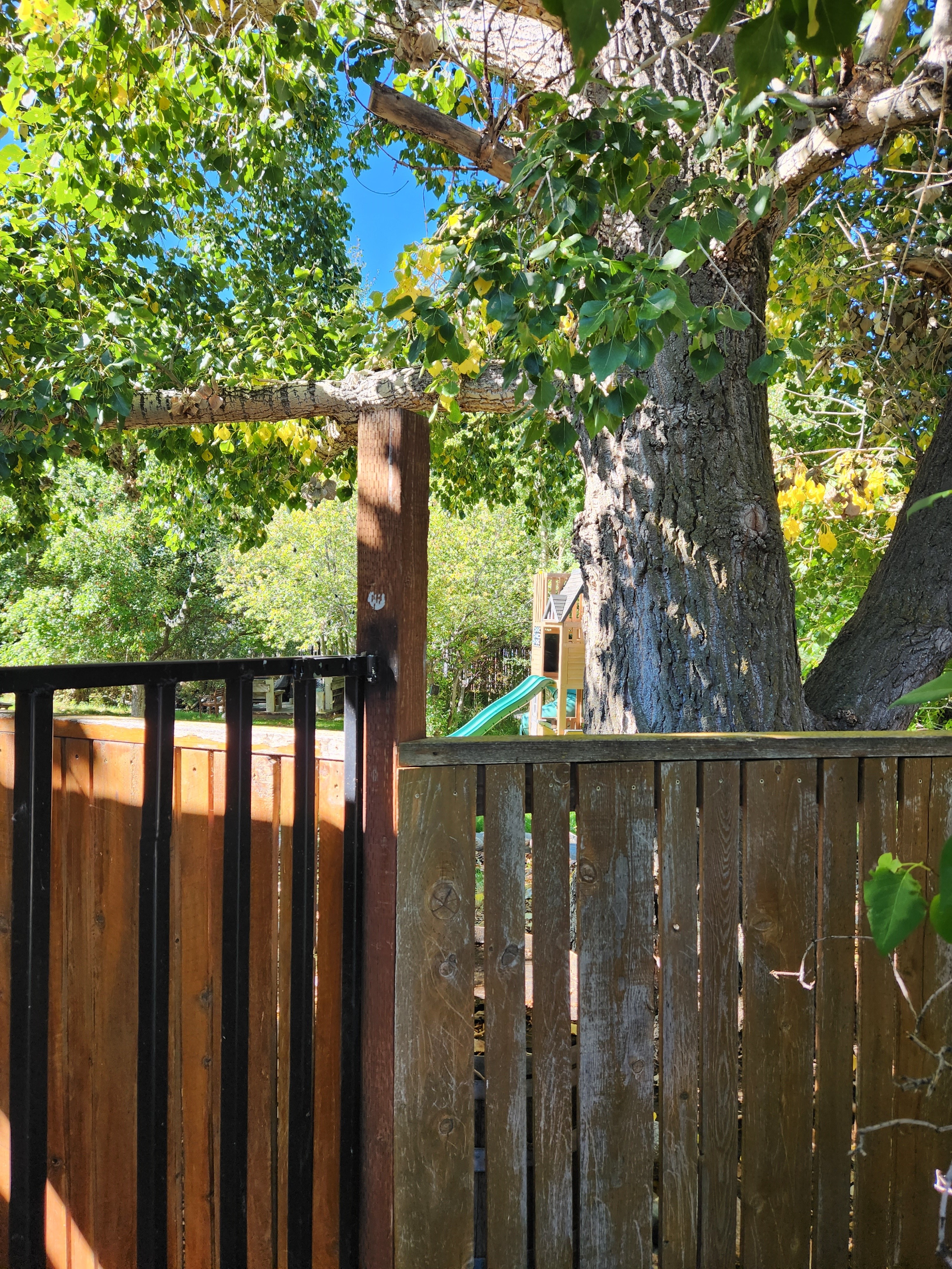 Back yard showing tree house or kids play area