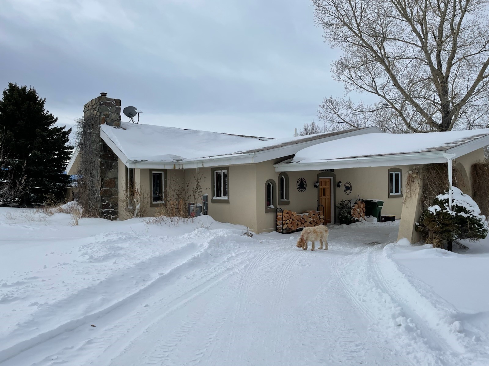 Left side of house