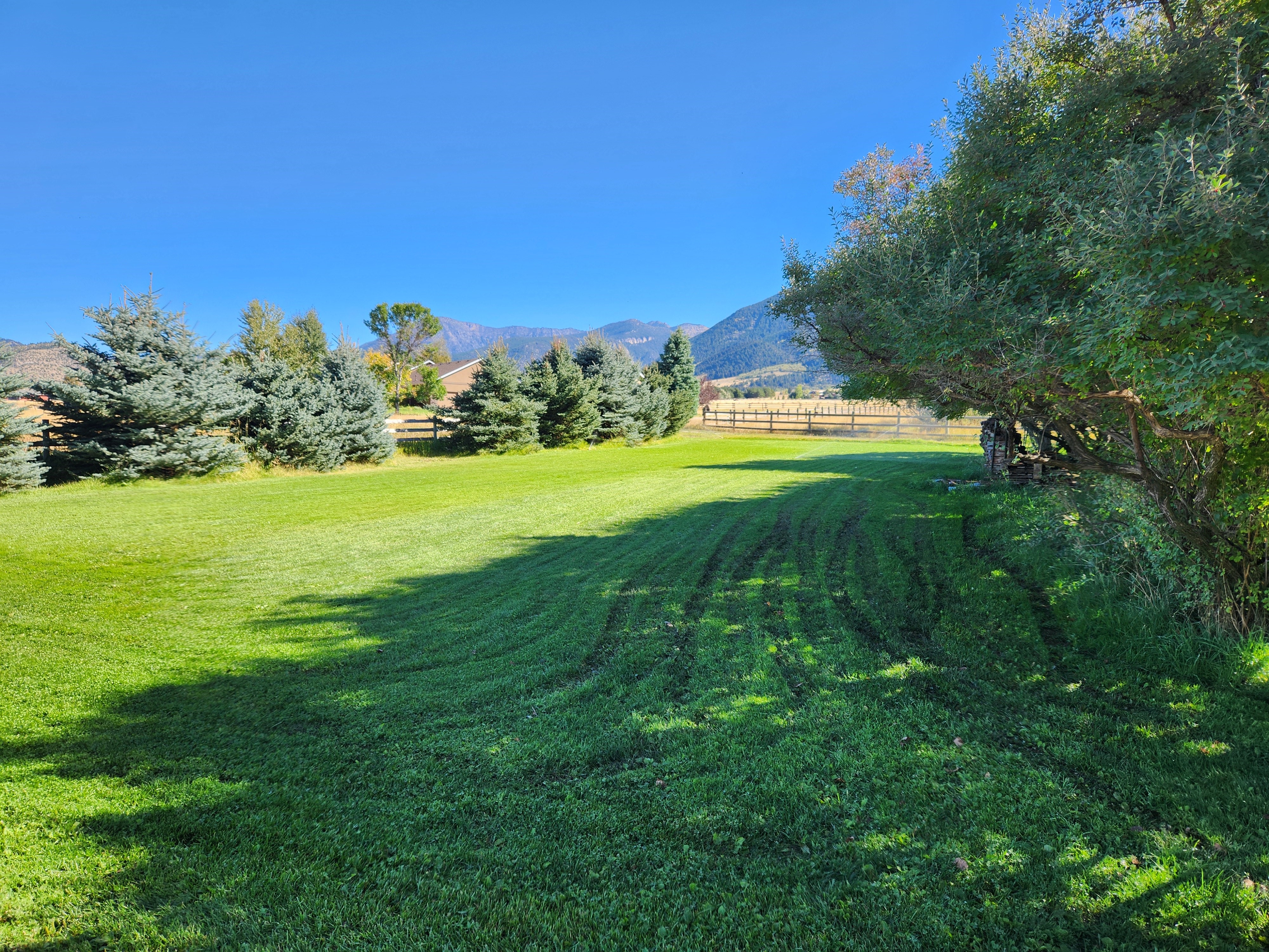 side yard view