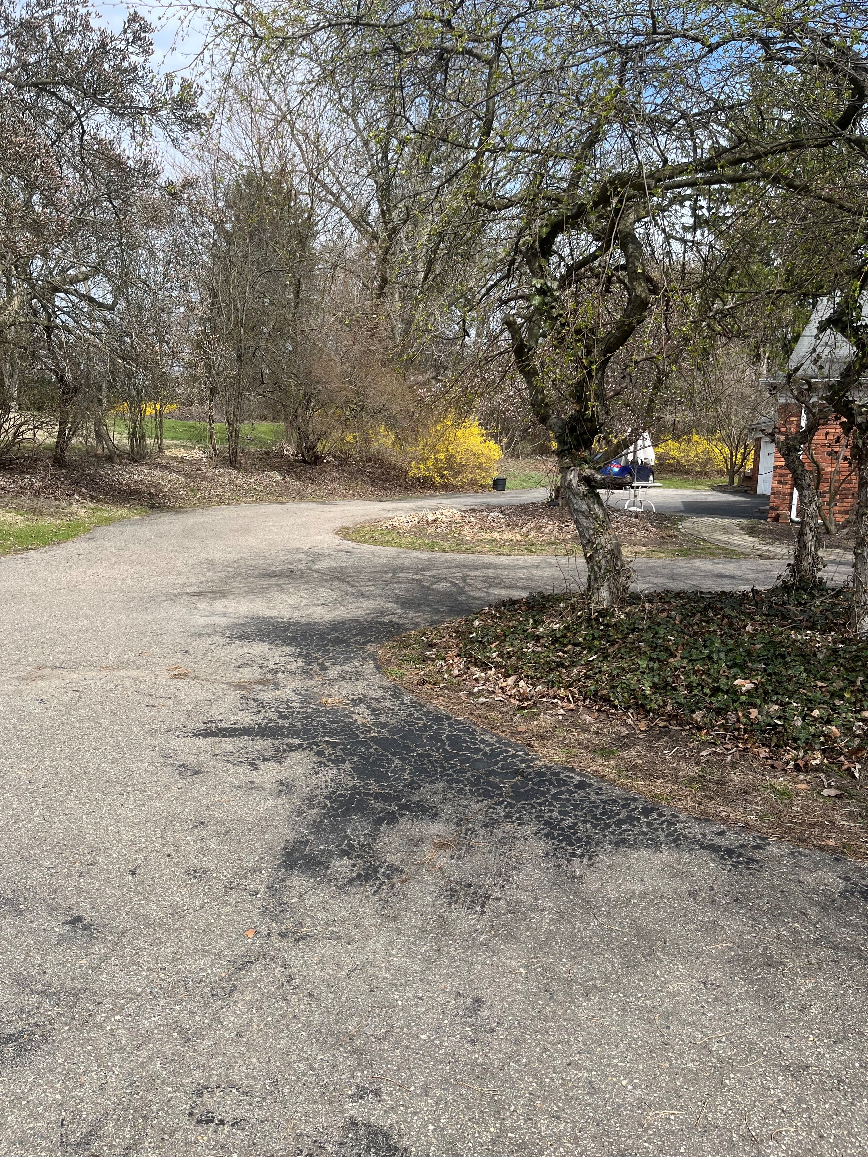 Driveway