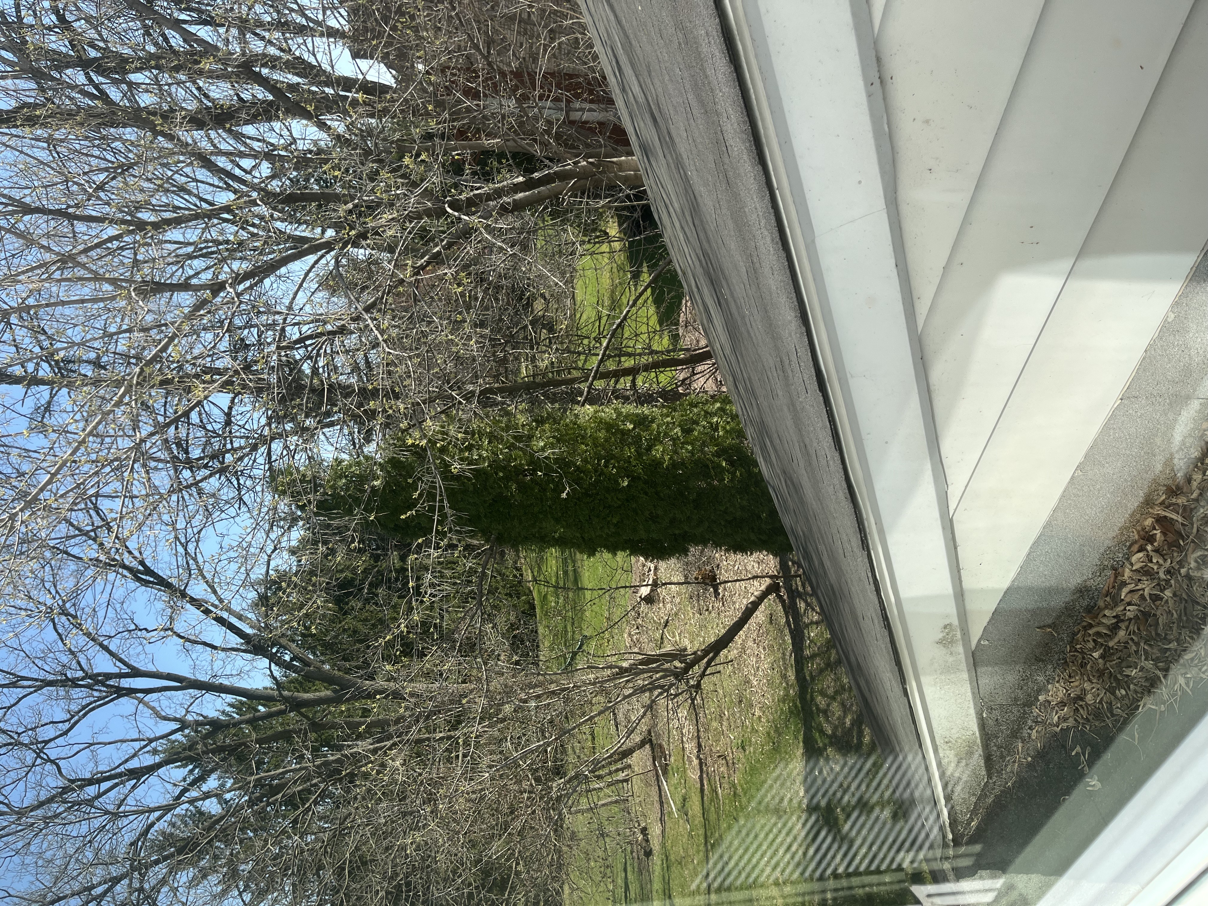 roofline from upstairs window