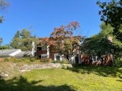 side of yard