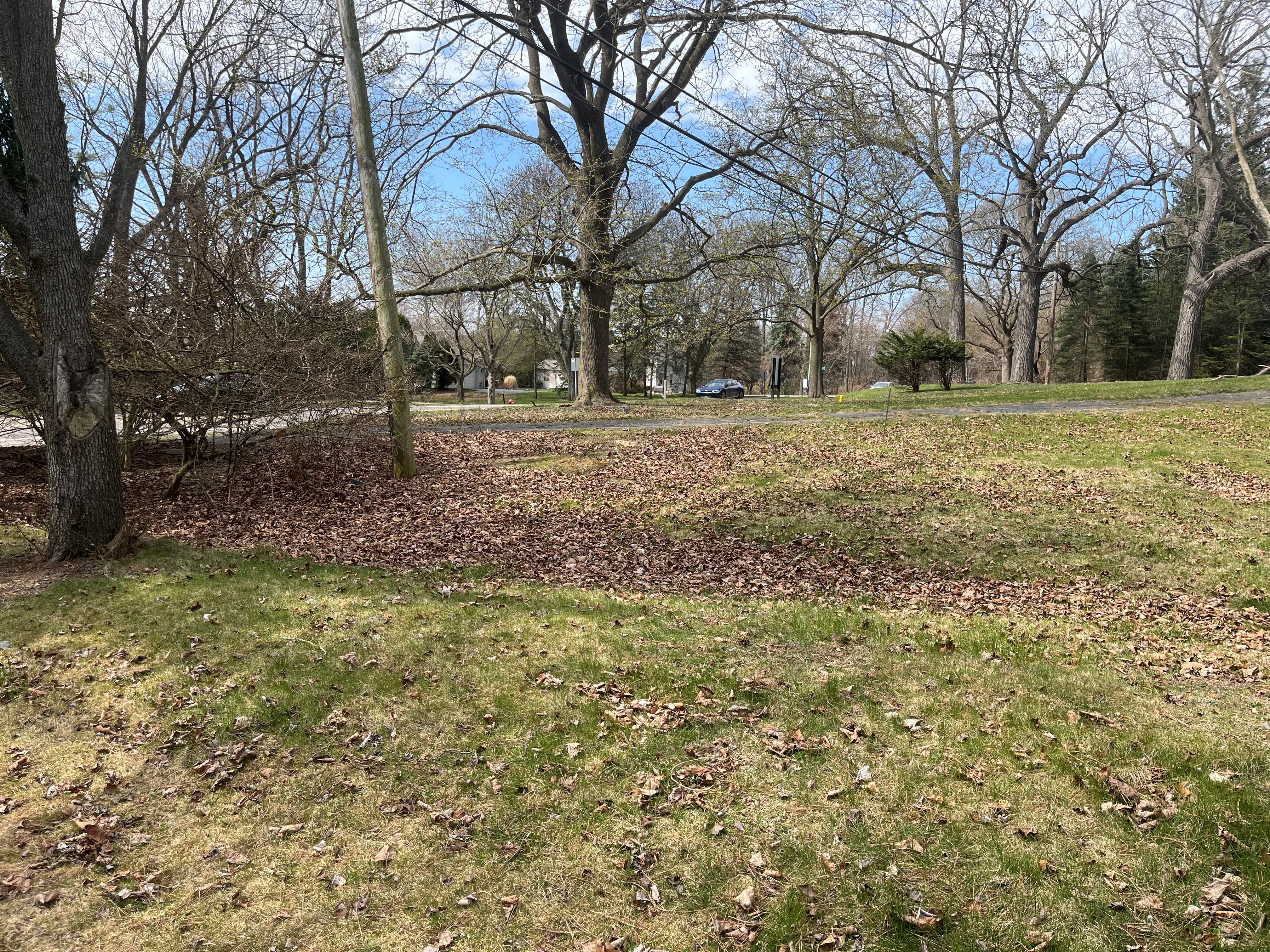 west view of yard