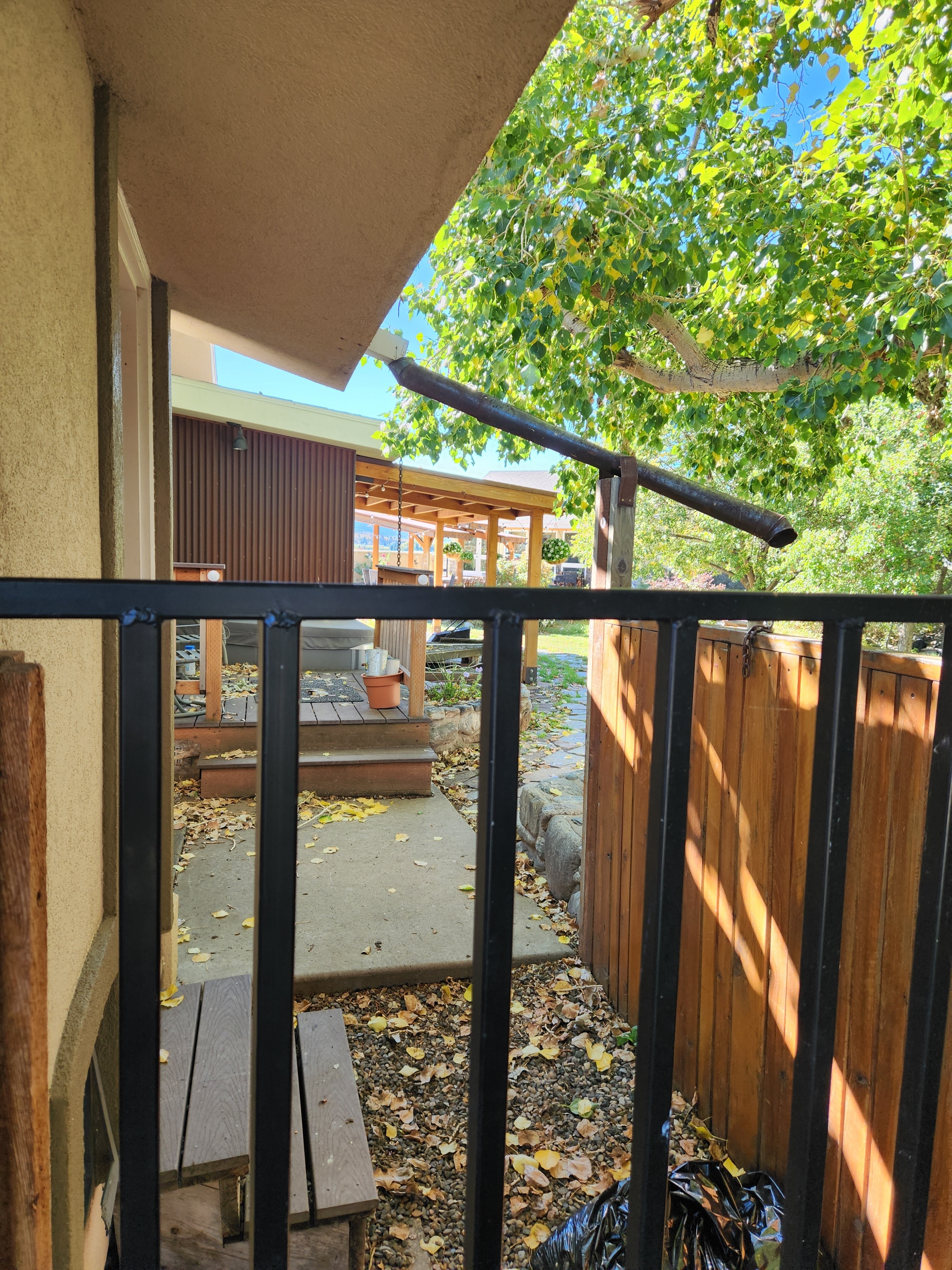 Part of the backyard