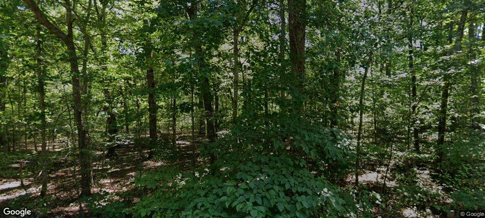Streetview
