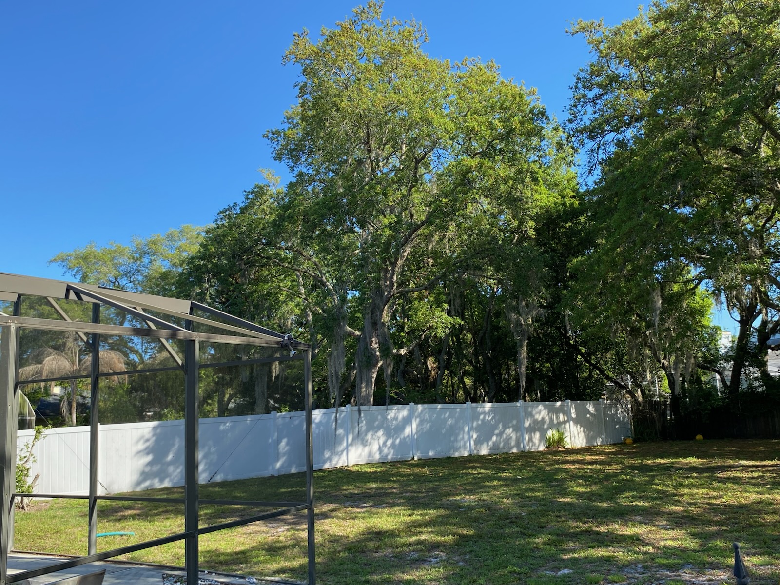 yard