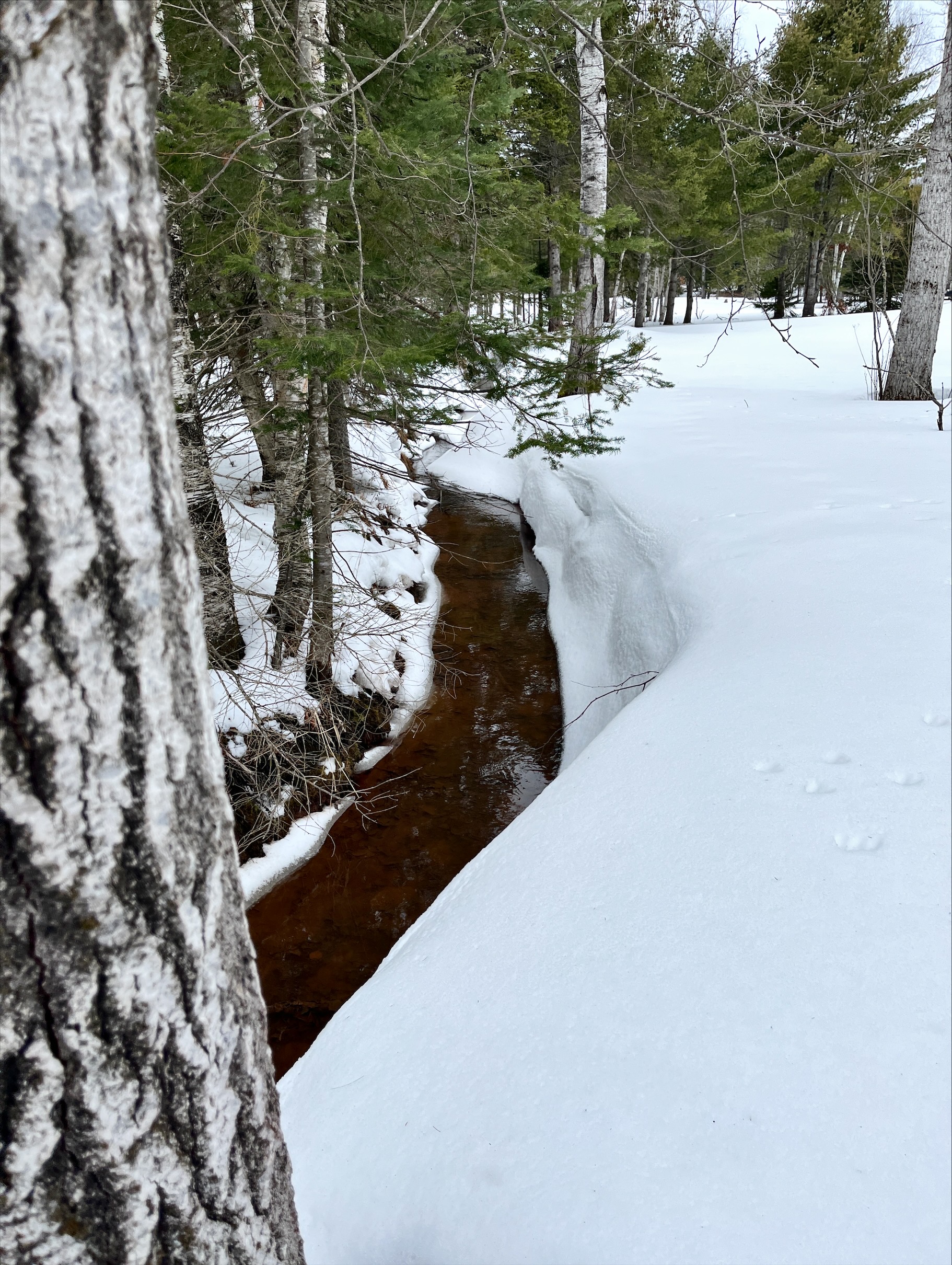 View of creek
