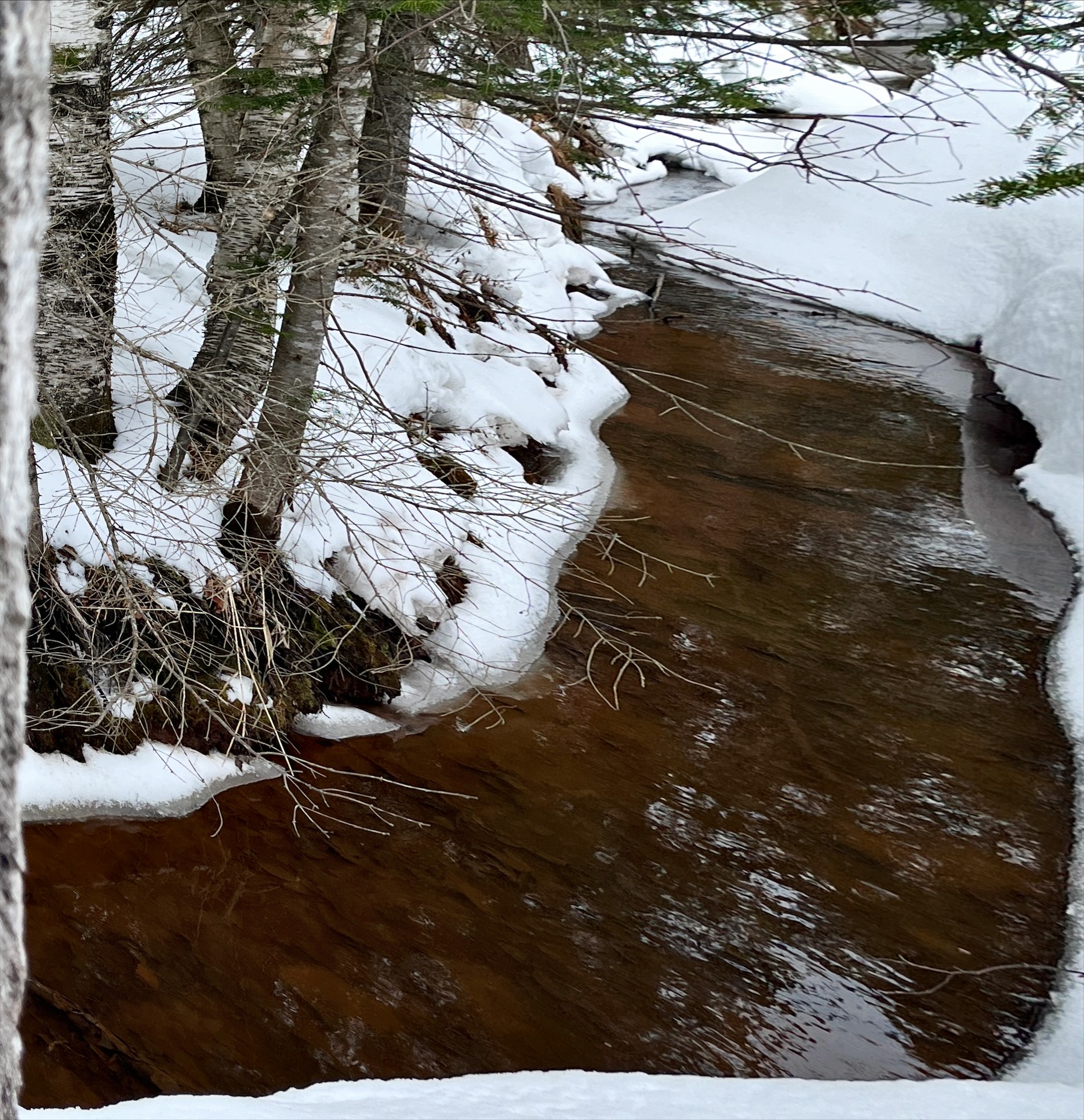 Part of the creek