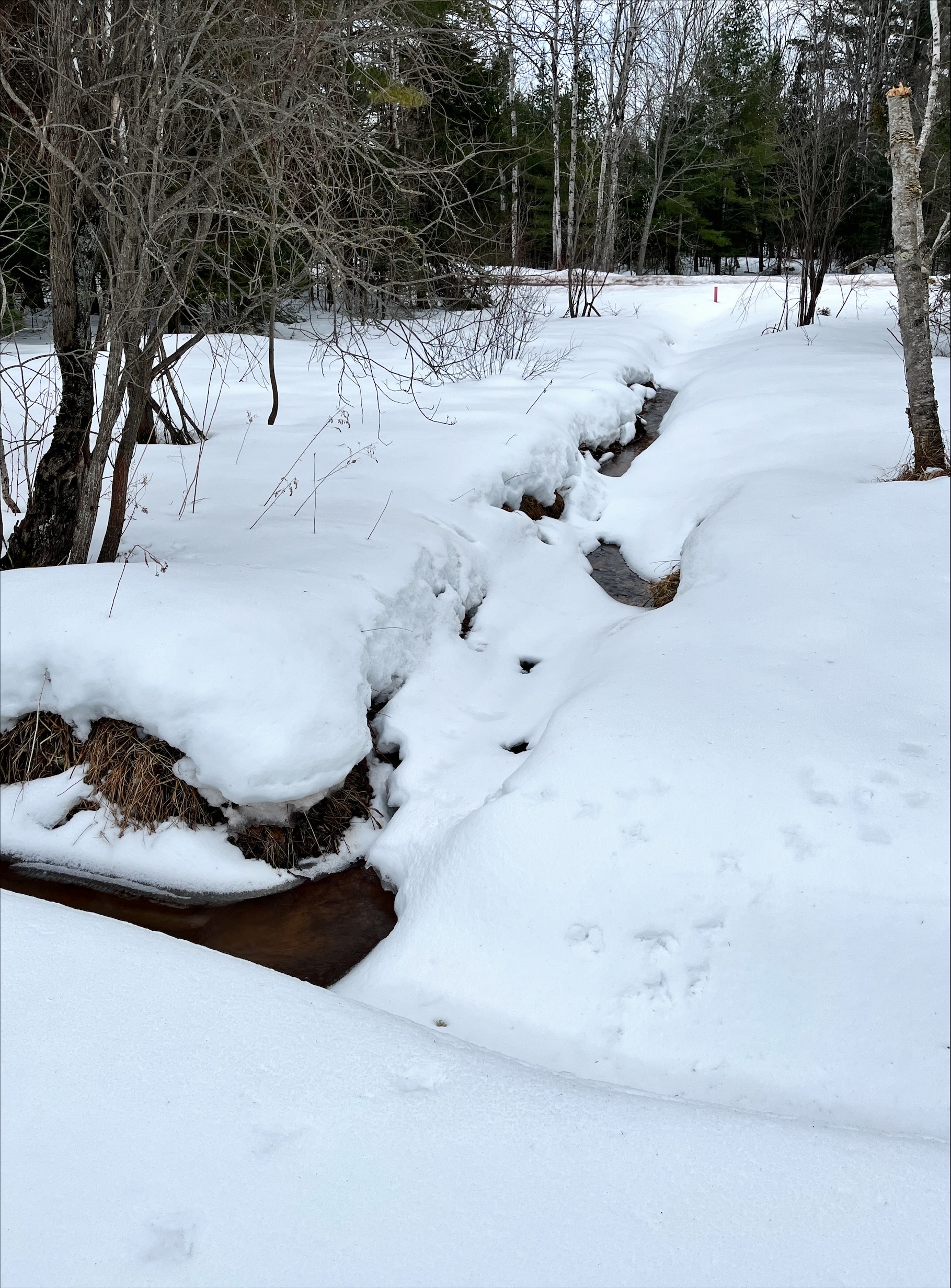 Creek view to the road