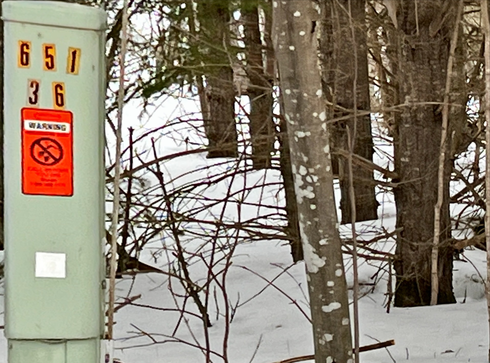 Beginning of property from road