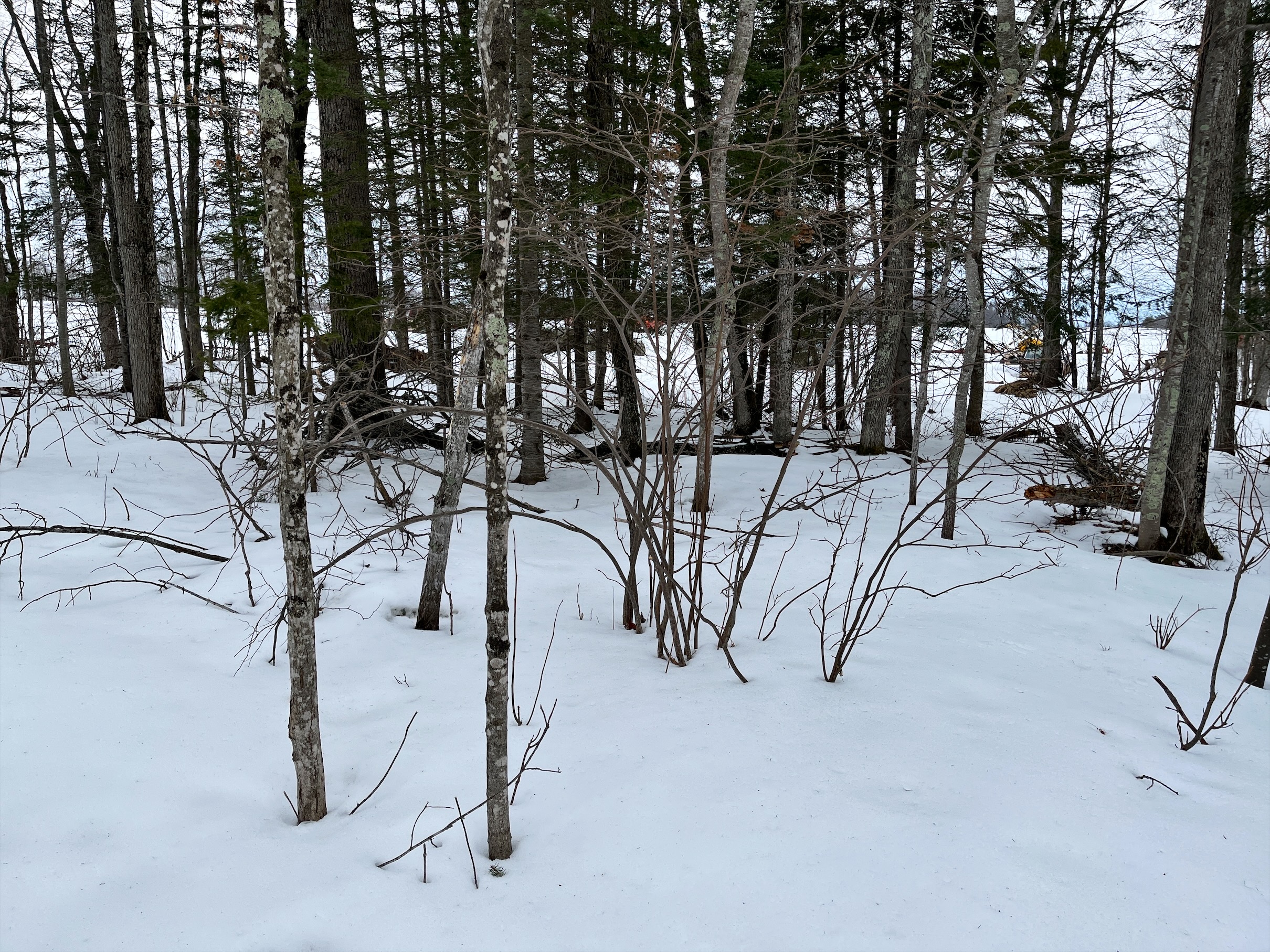Far end of the lots
