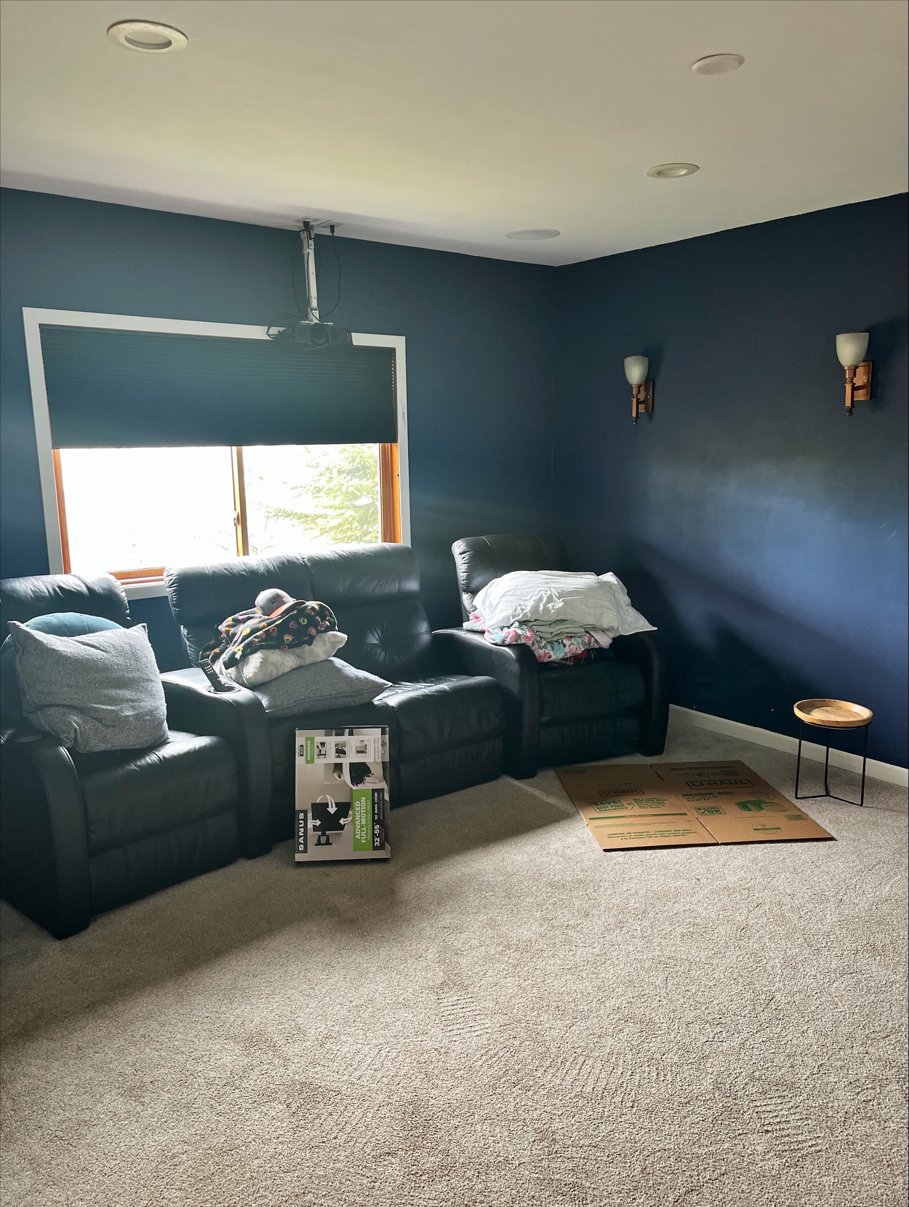 Theater Room