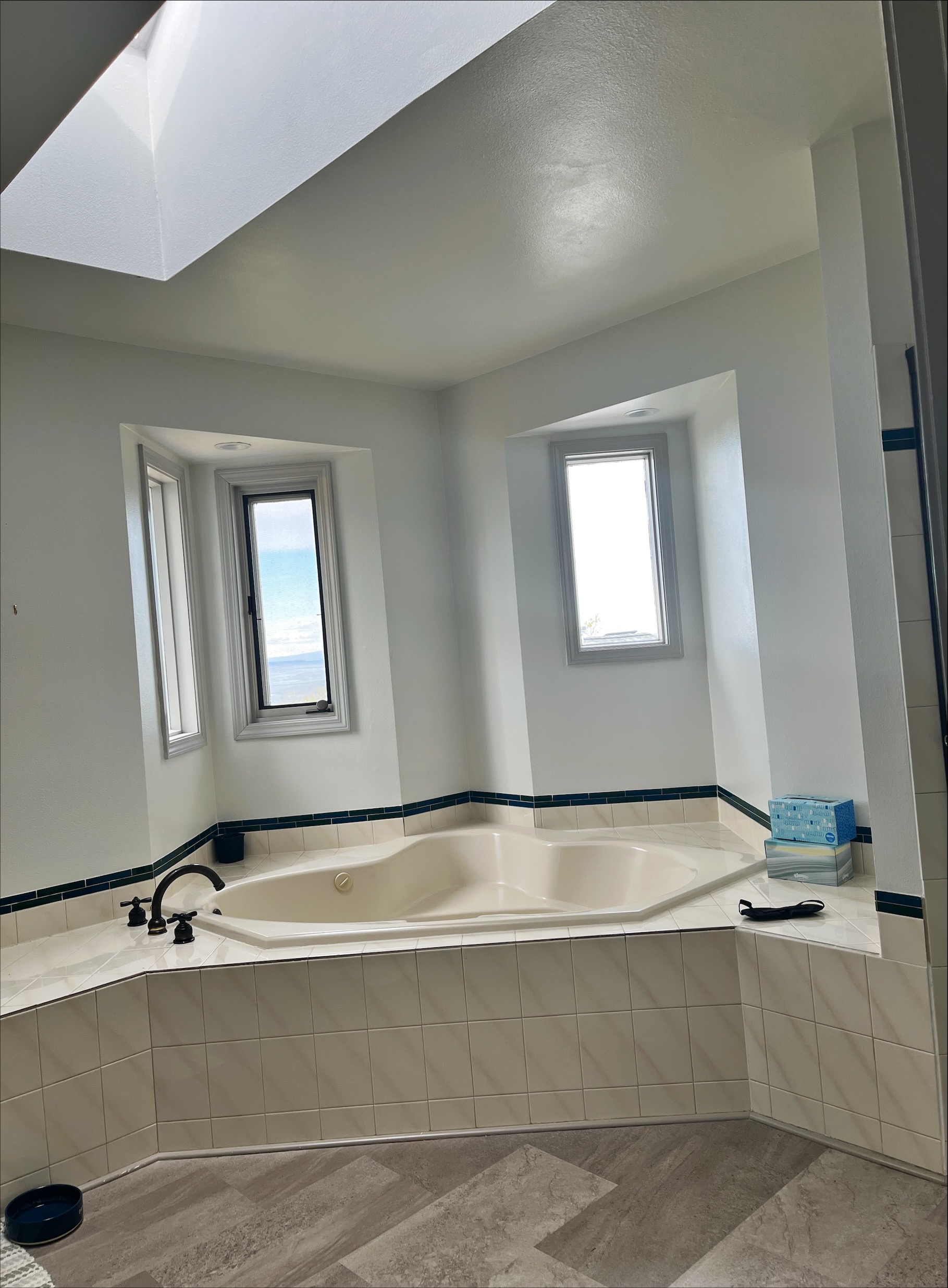Master bathroom jacuzzi