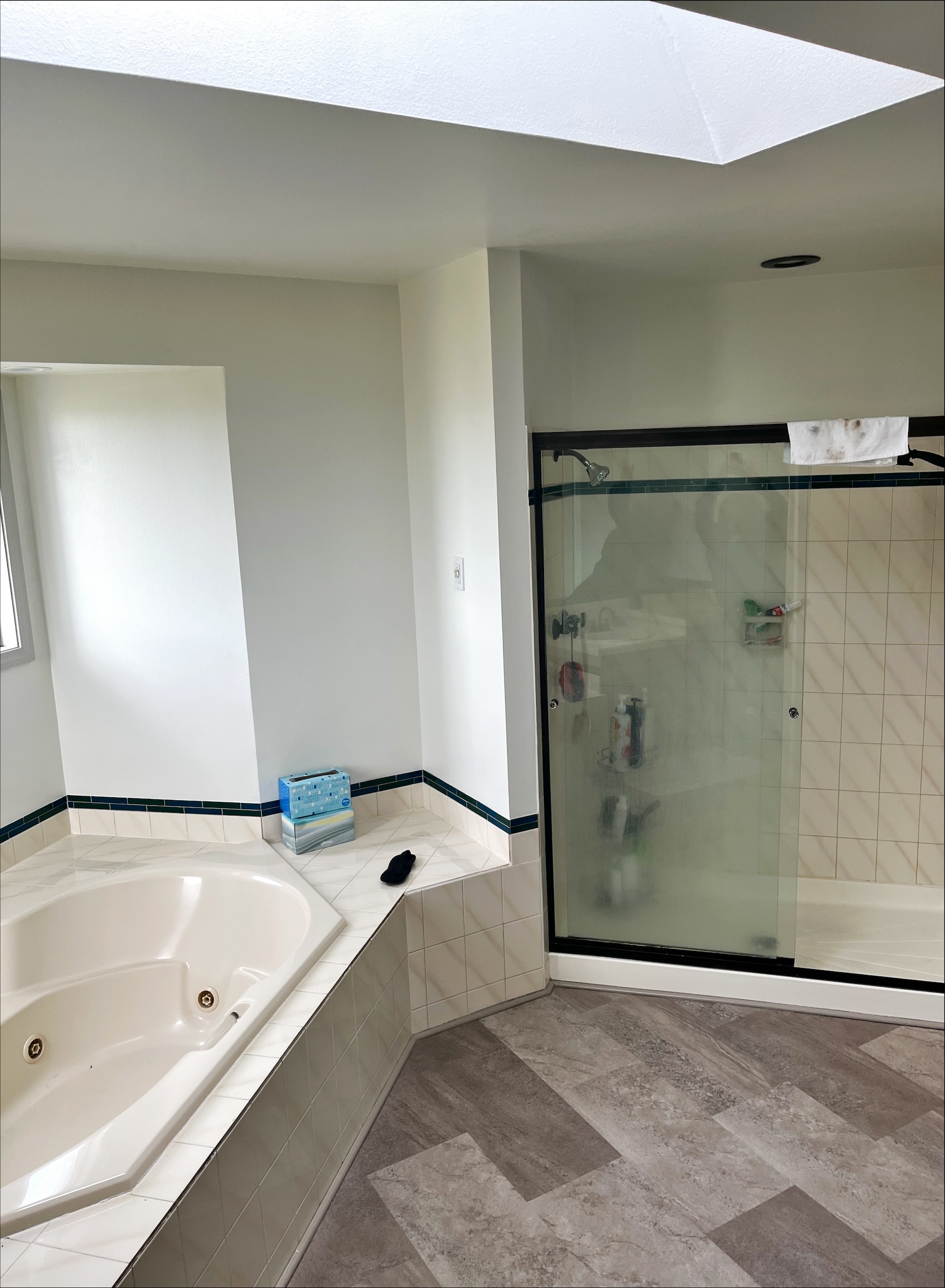 Master bathroom