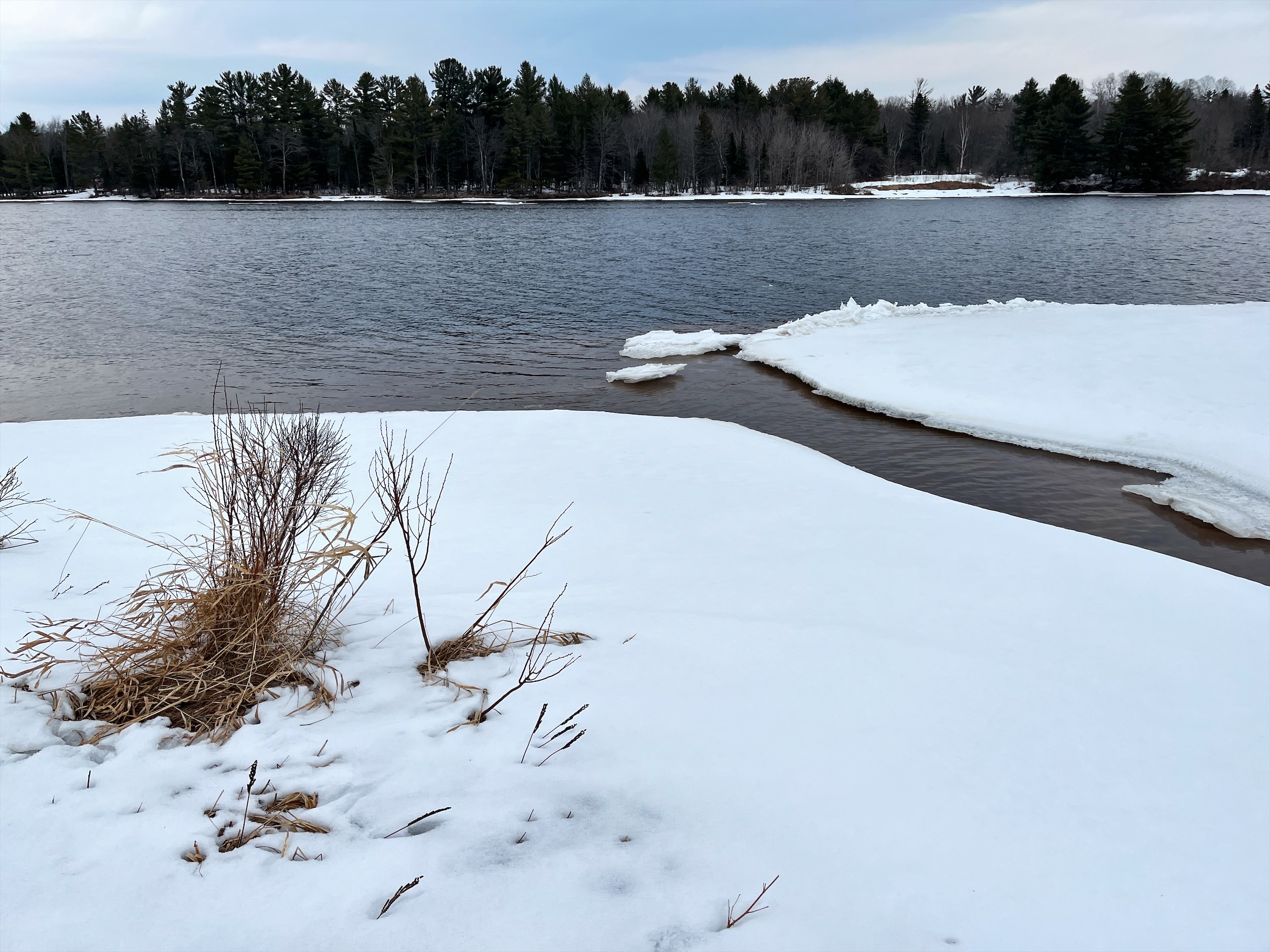 Creek coming off river