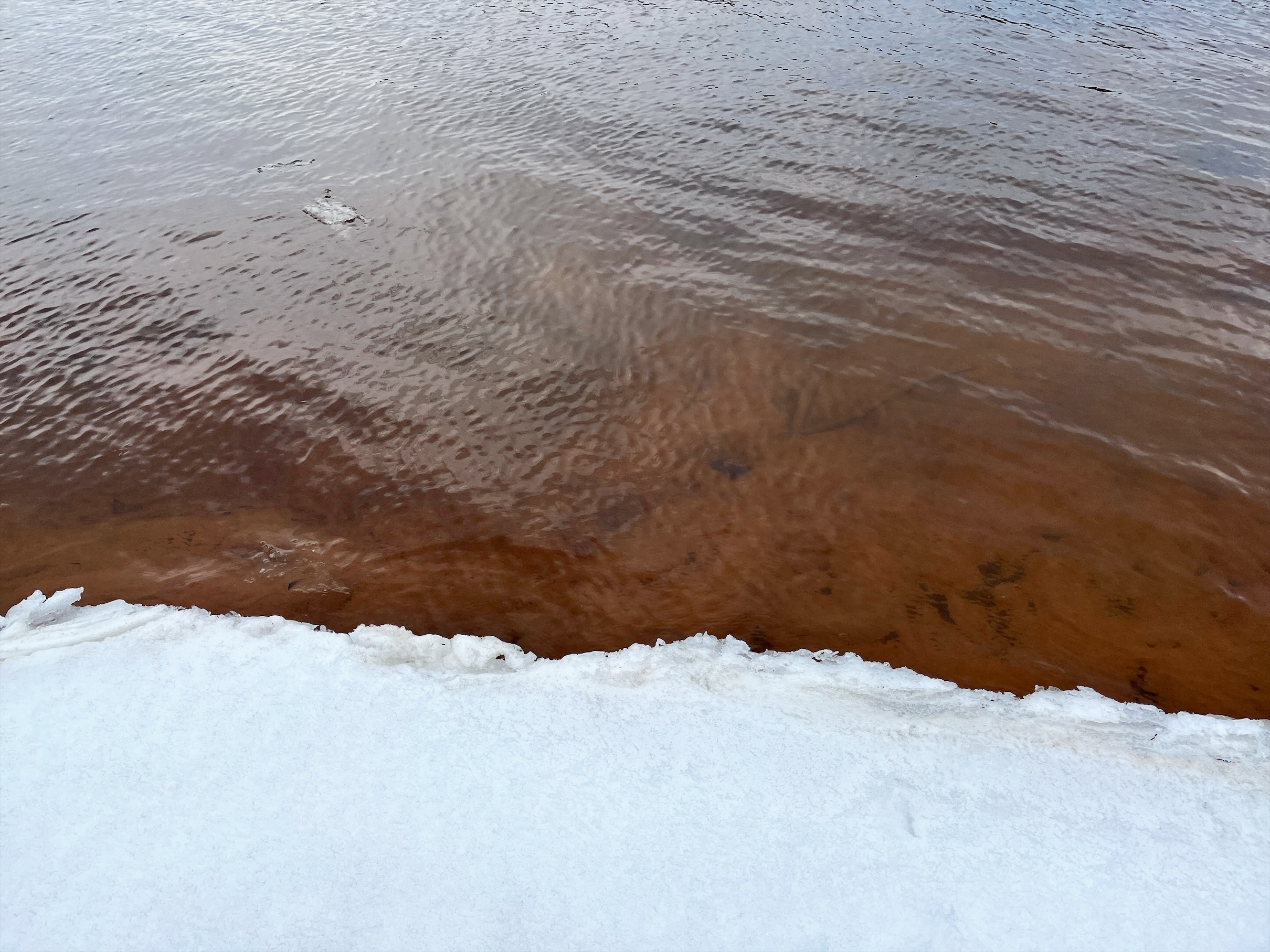 River bank