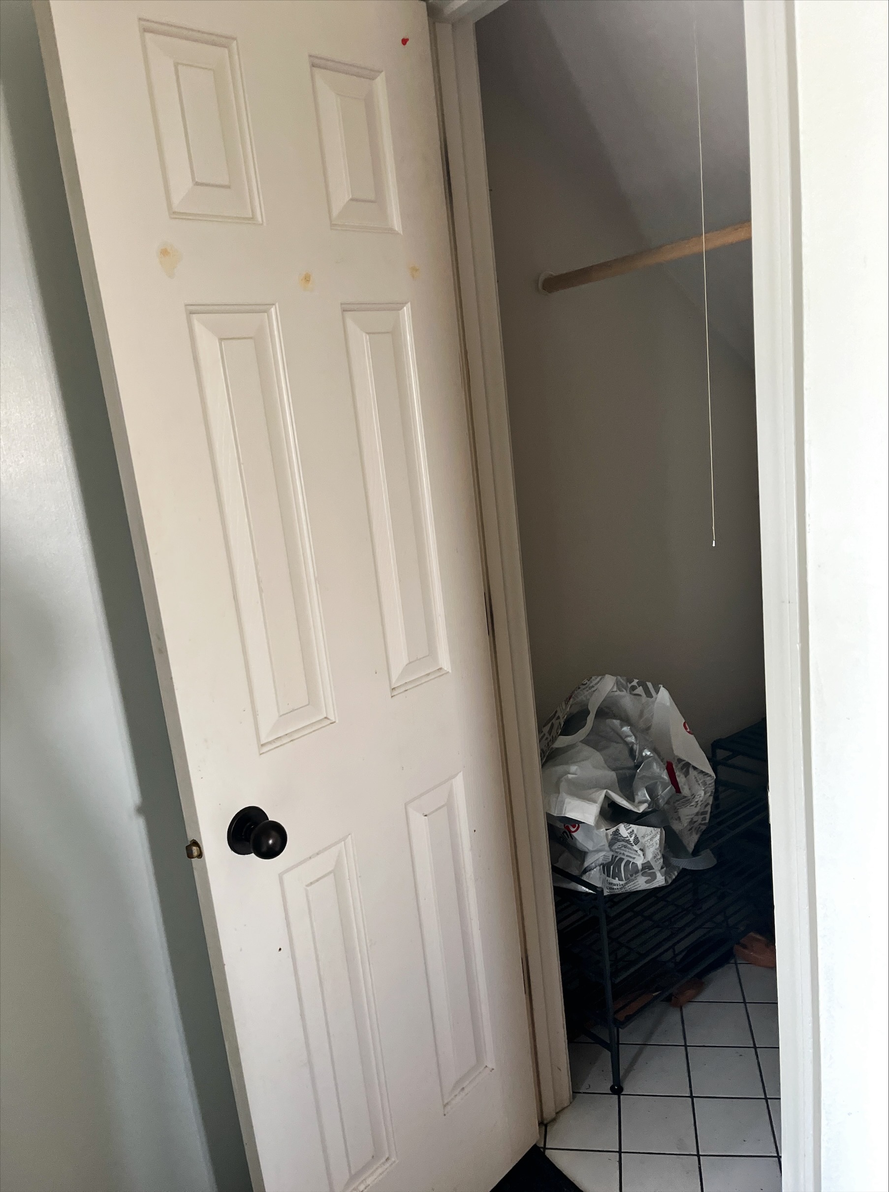 Closet by garage door