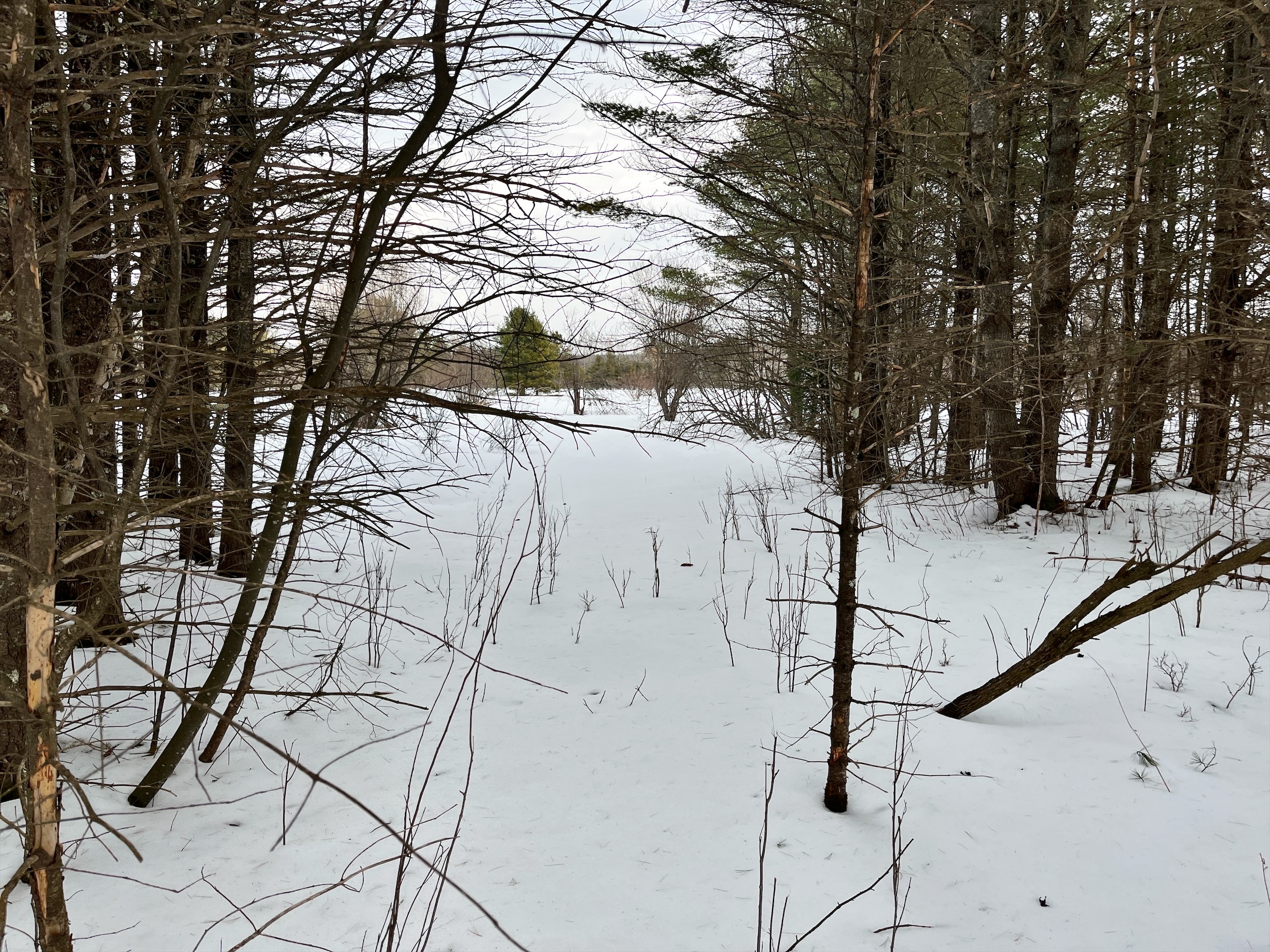 Walking to river