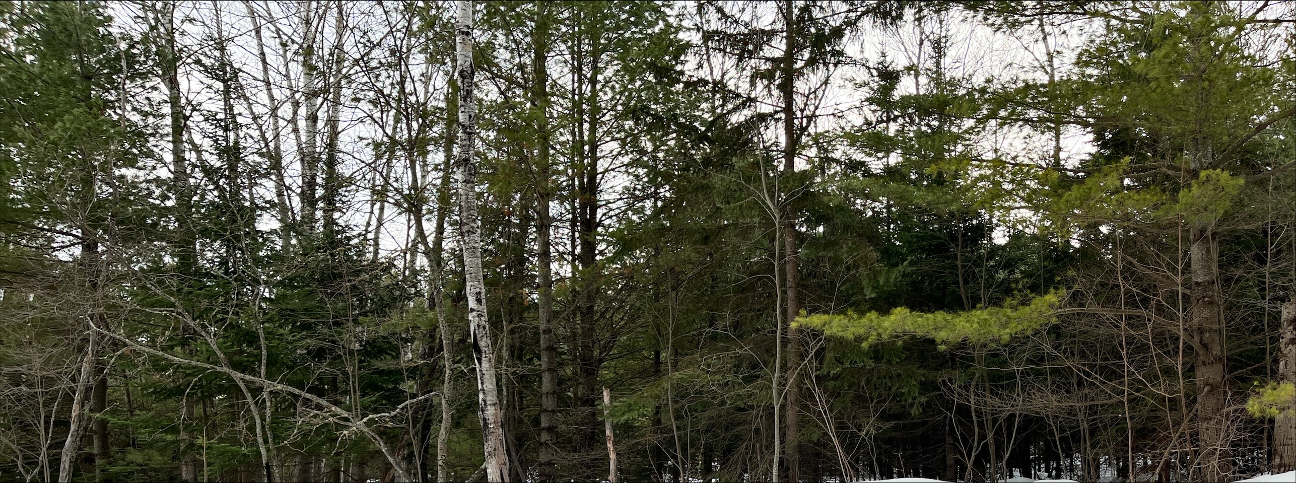 Walking along roadside