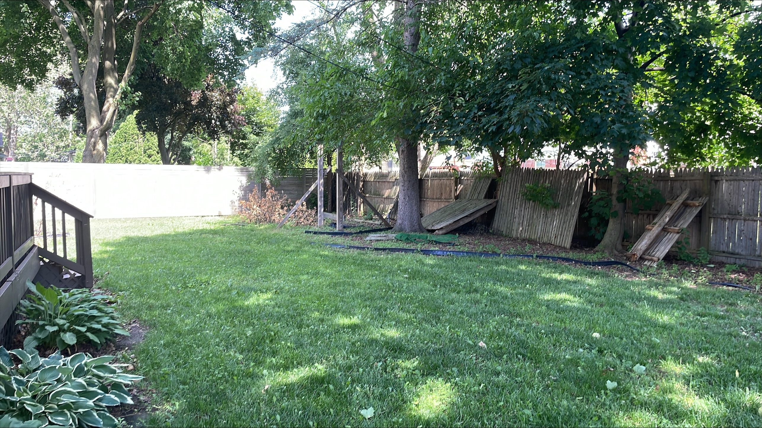 View of backyard