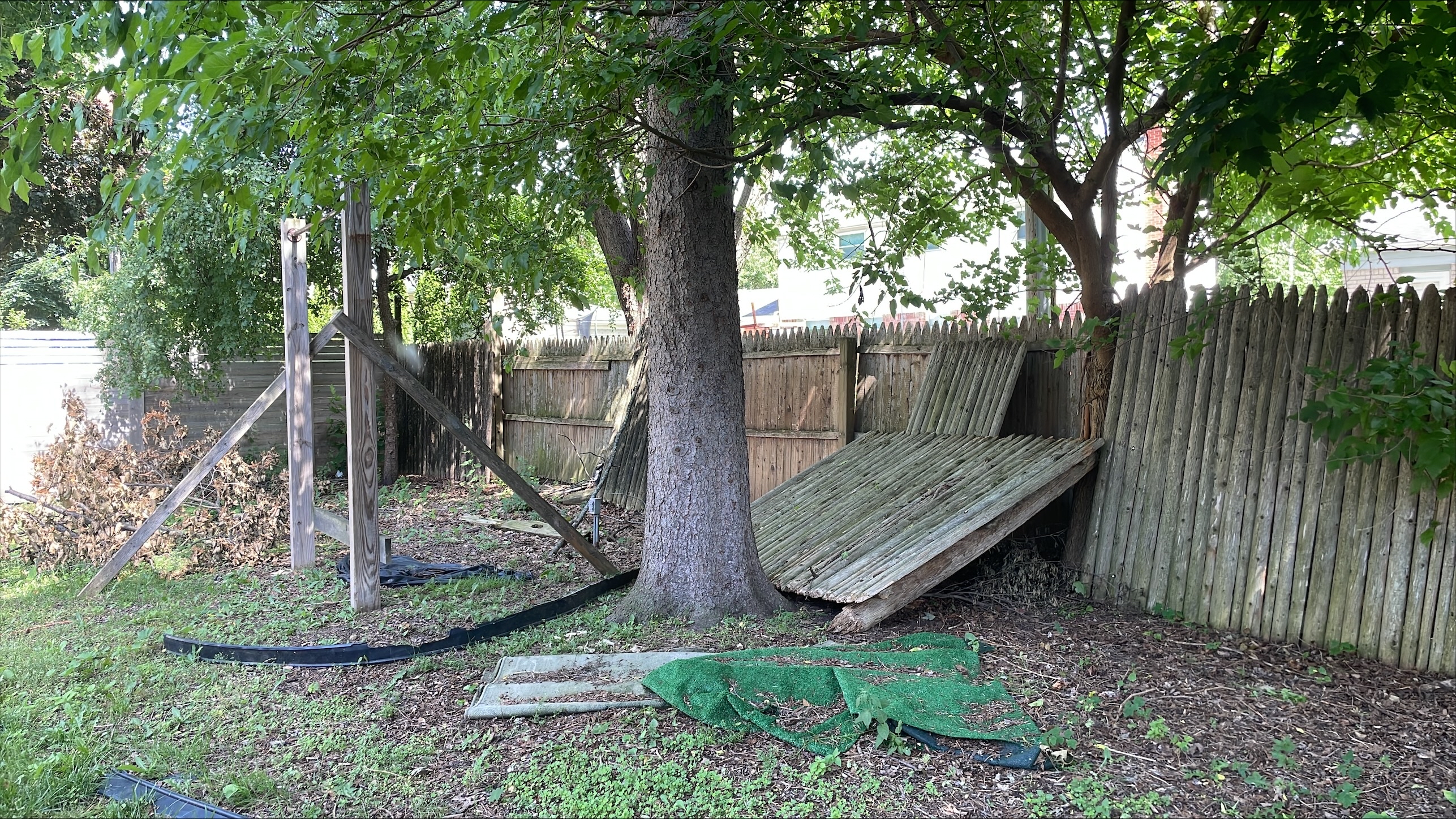 View of fencing