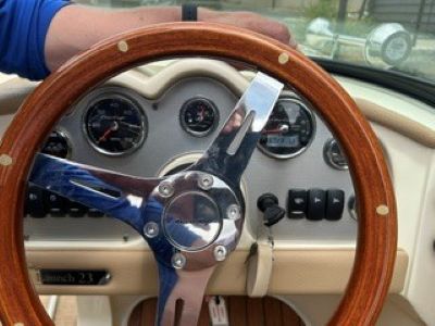 steering wheel view