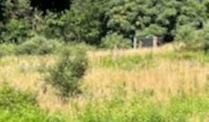 Eight acre parcel