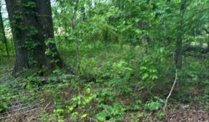 1.8 acre wooded, residential parcel of land more commonly known as 6323 Helms Belk Rd., Monroe, NC 28110