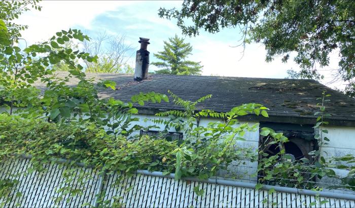 Back view showing roof of 1 of the buildings