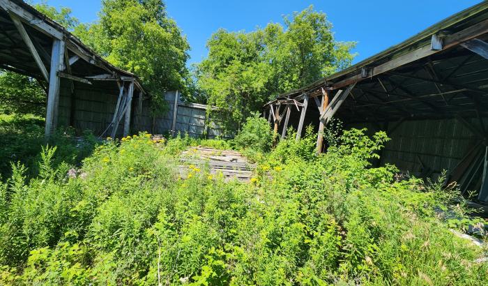 Left side view showing opening of structures