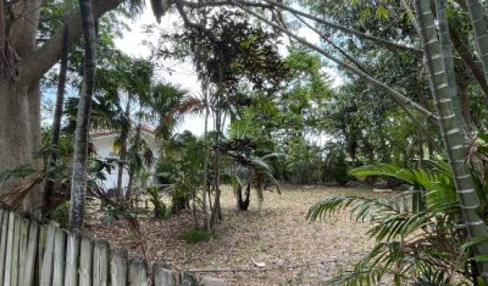 View of backyard over a fence