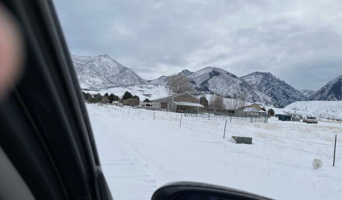 Approaching property from road