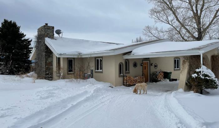 Left side of house