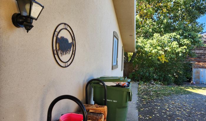Left side of house looking to back yard