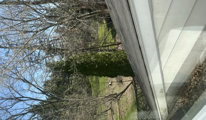 roofline from upstairs window