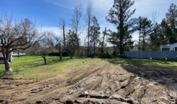 Another view of some of the land