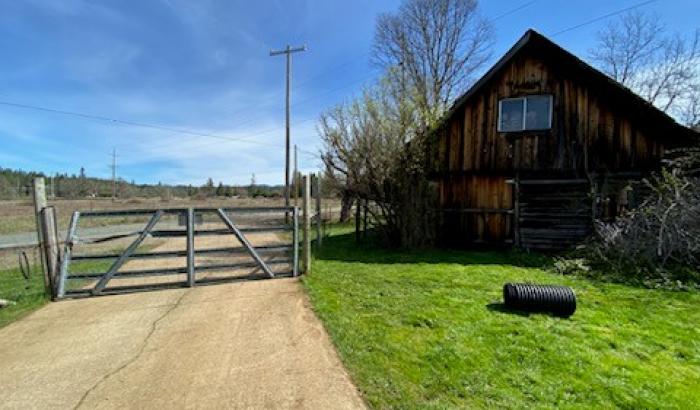 Driveway leading to road