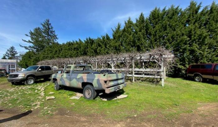 Property line with fence