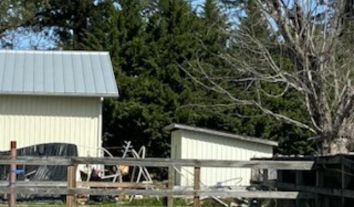 Sheds on the property