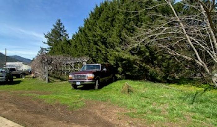 Side of drive leading to home