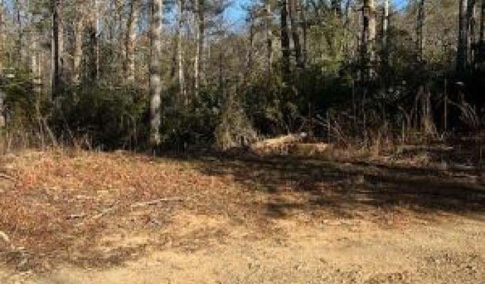 1-Acre Vacant Lot-Pic #2