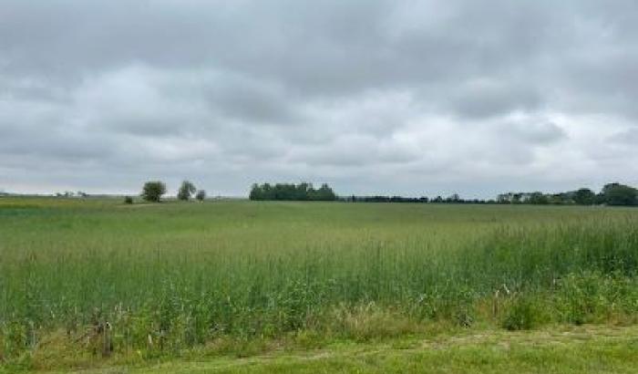 16 acres of farmland located on Sand Ridge Rd in Weston OH 