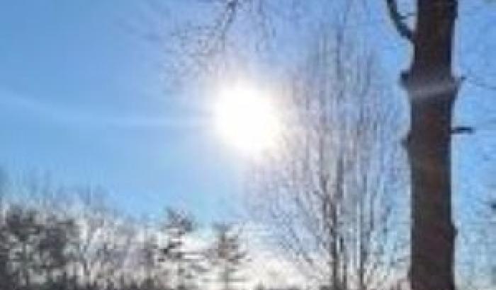 1 Acre Lot---APN 8511-38-1364-000